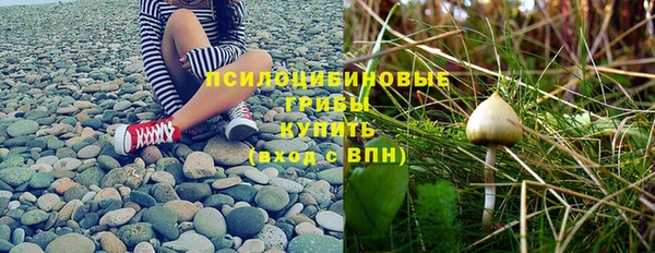дурь Богородицк